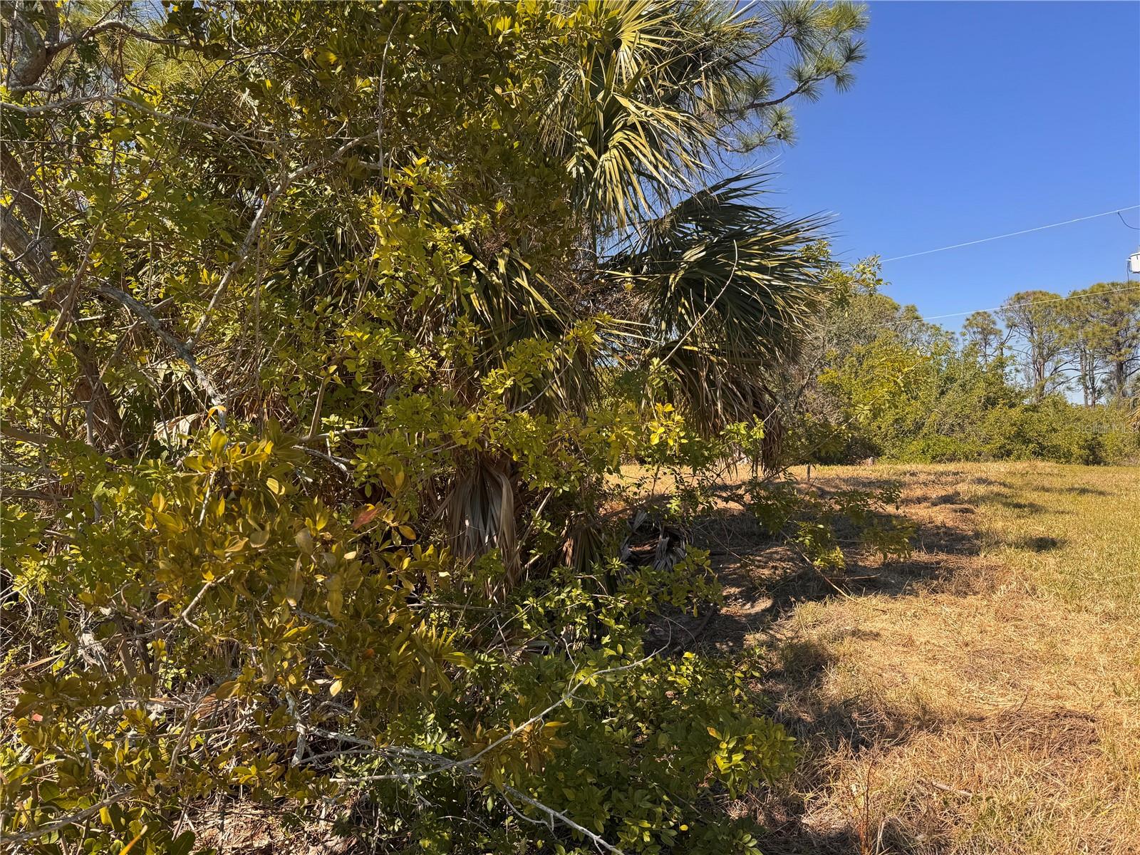 Image 14 of 17 For 15624 Aldama Circle