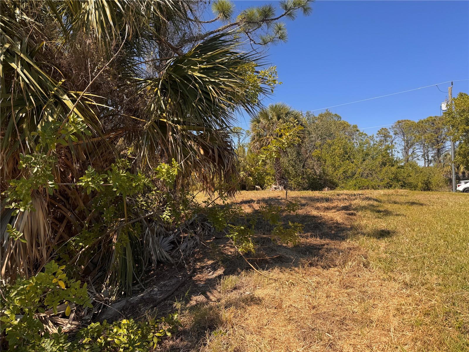 Image 15 of 17 For 15624 Aldama Circle