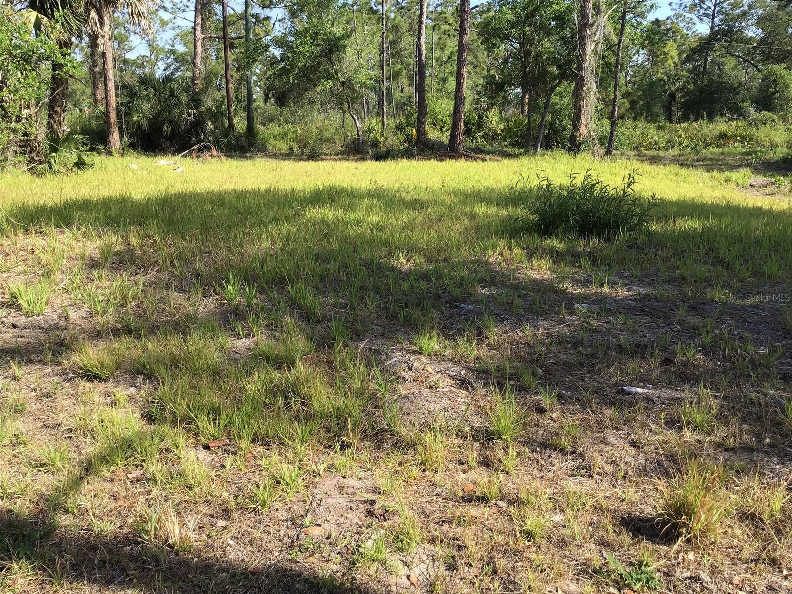 Image 3 of 11 For 13068 And 13076 Woolard Avenue