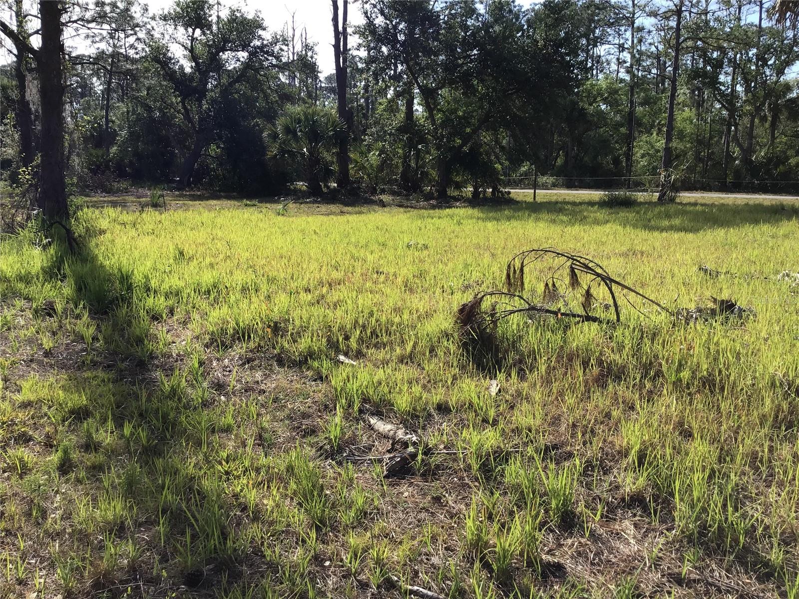 Image 4 of 11 For 13068 And 13076 Woolard Avenue