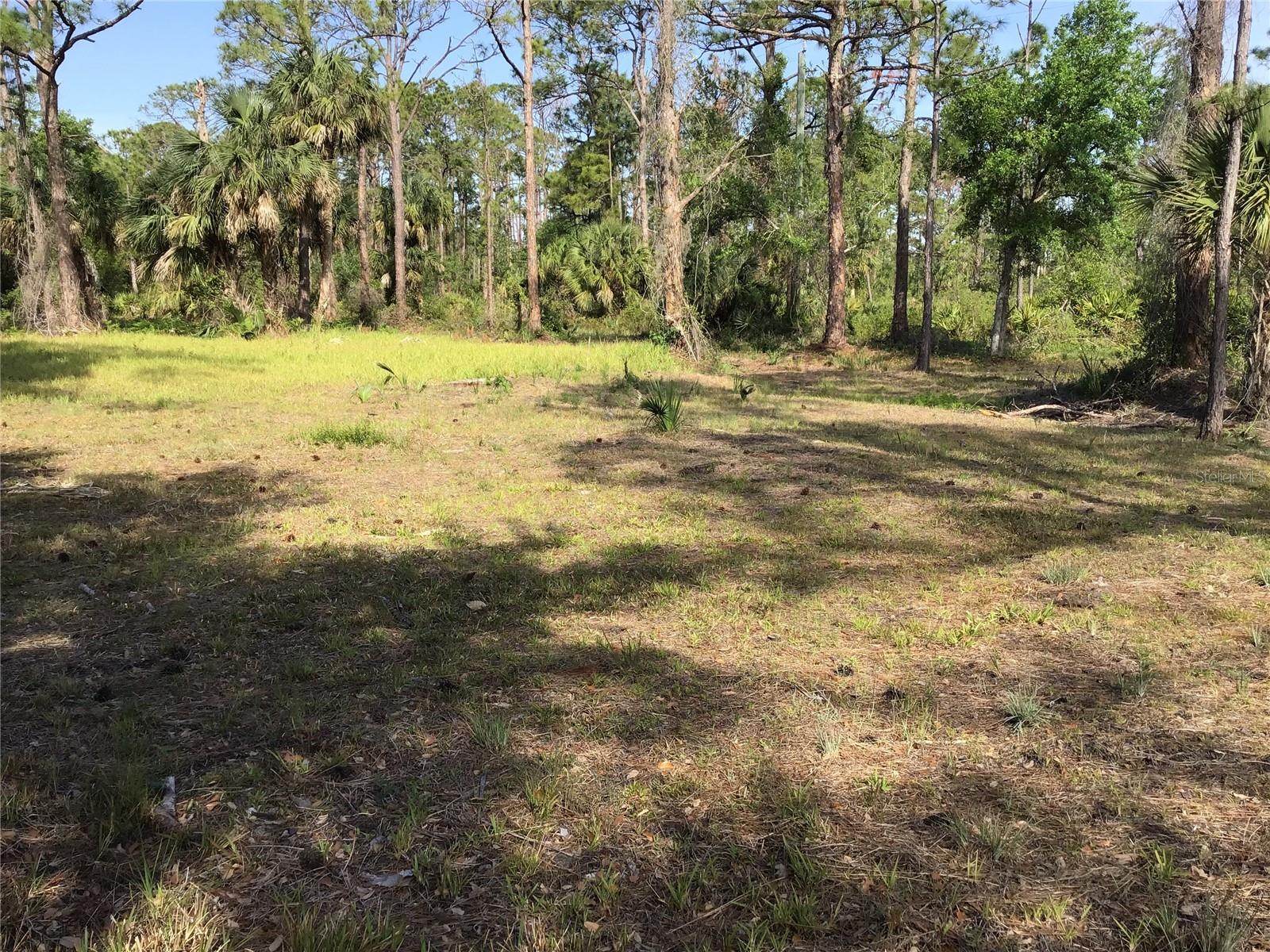Image 6 of 11 For 13068 And 13076 Woolard Avenue