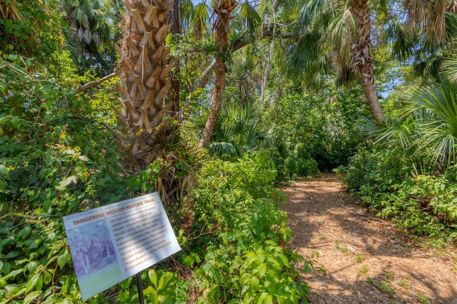 Image 49 of 49 For 809 Tangerine Woods Boulevard 215