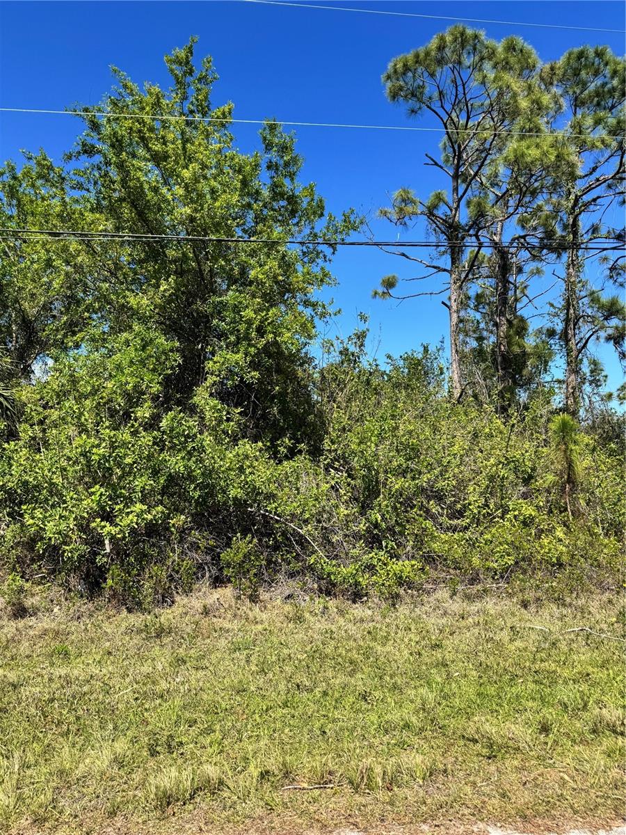Details for 14400 Pocono Avenue, PORT CHARLOTTE, FL 33981