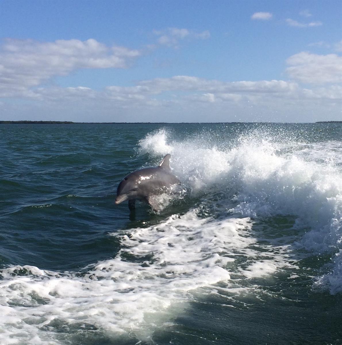 Image 22 of 25 For 8438 Little Gasparilla Island