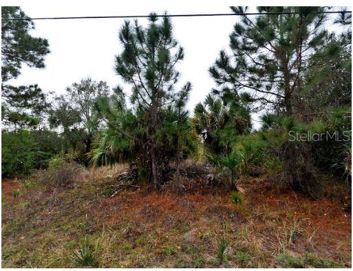 Image 2 of 4 For Germany Avenue