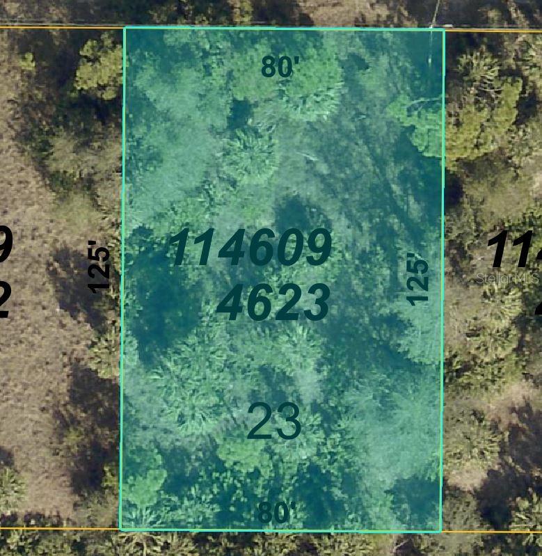 Image 3 of 4 For Germany Avenue