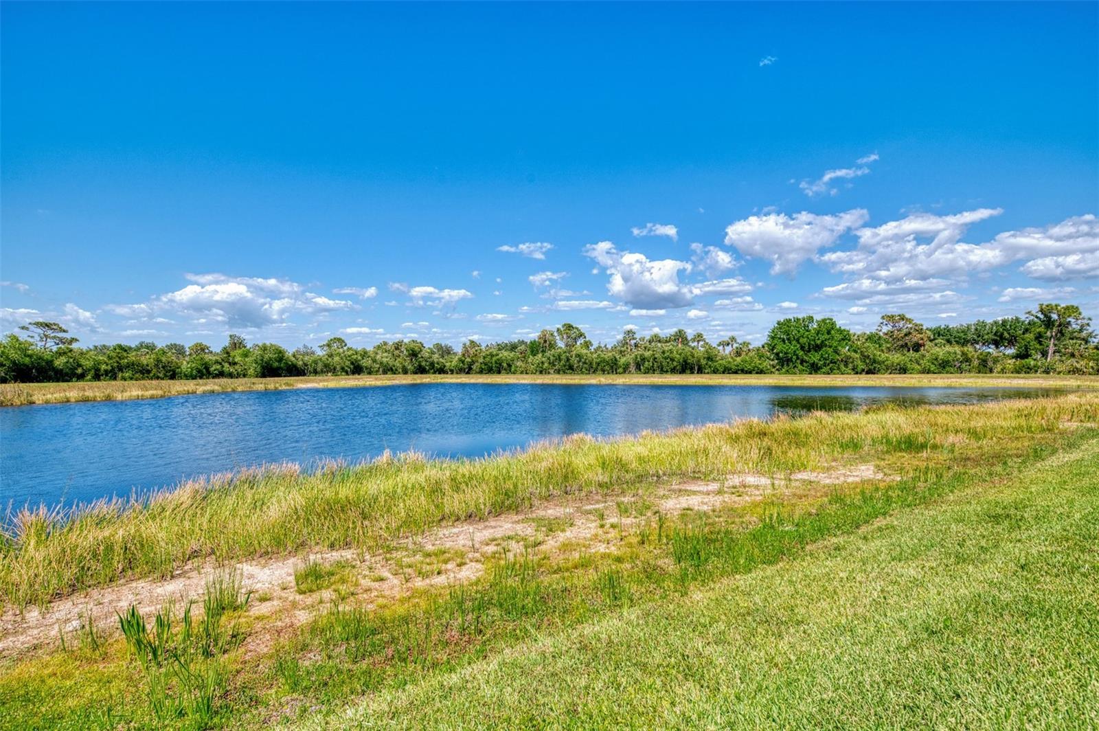 Image 60 of 97 For 23590 Copperleaf Drive