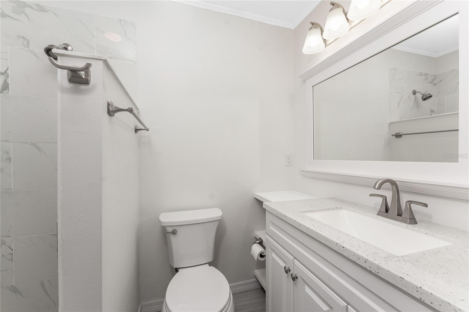Image 22 of 48 For 6796 Gasparilla Pines Boulevard 63