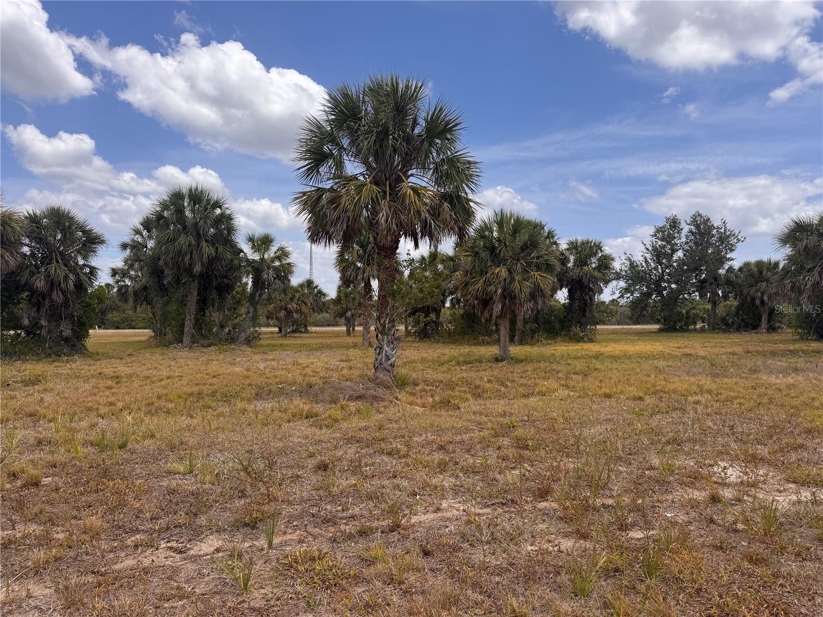 Details for 18 Redbud Court, PLACIDA, FL 33946