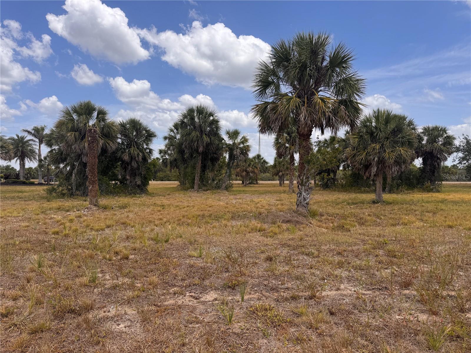 Details for 16 Redbud Court, PLACIDA, FL 33946