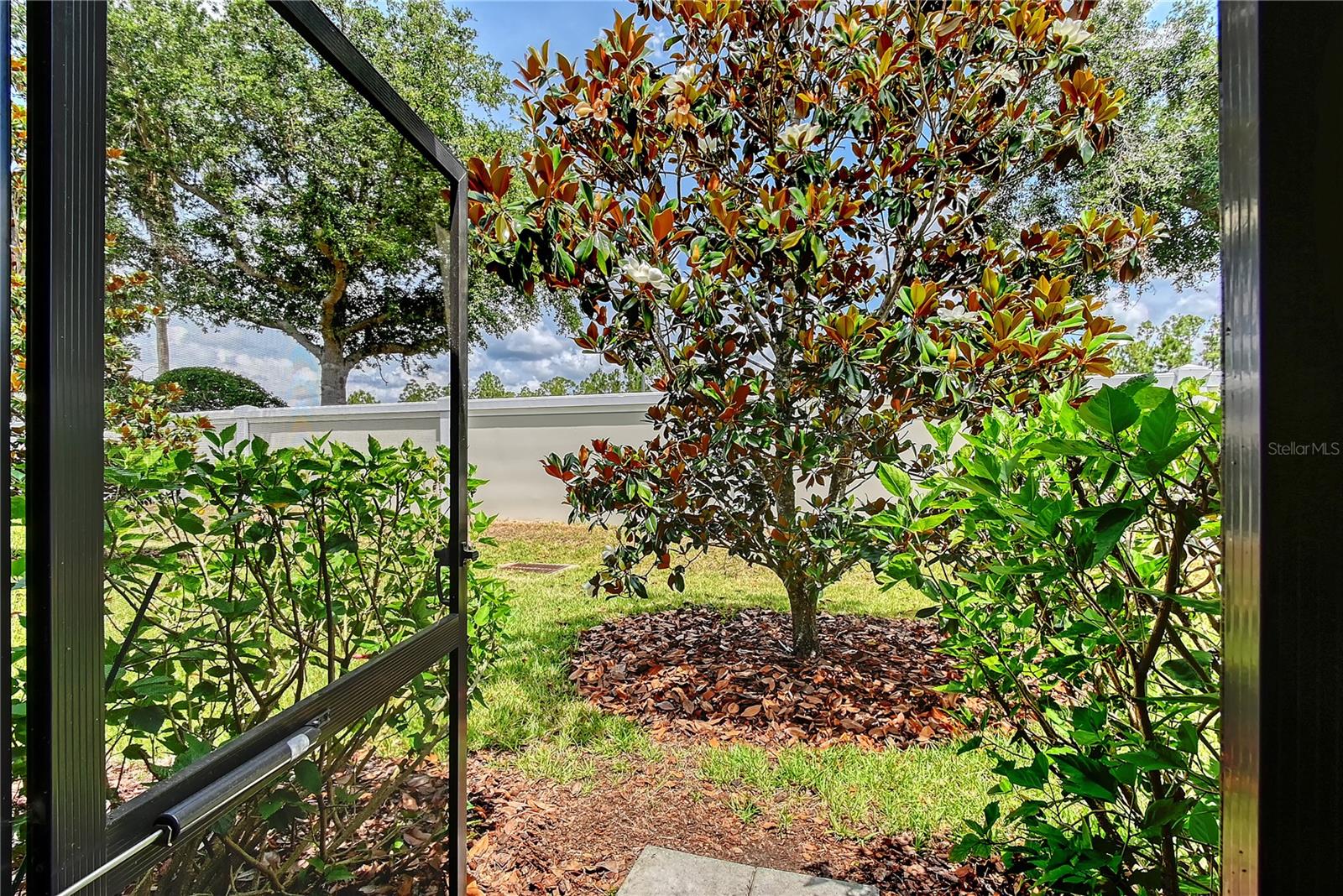 Image 34 of 69 For 1318 Ballota Lane