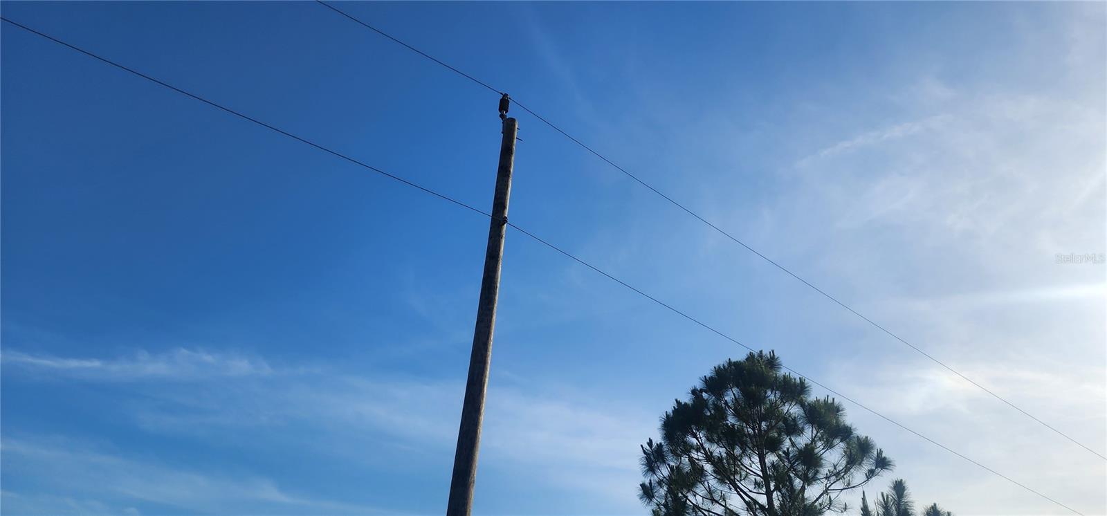 Image 12 of 21 For 12092 Beiman Avenue