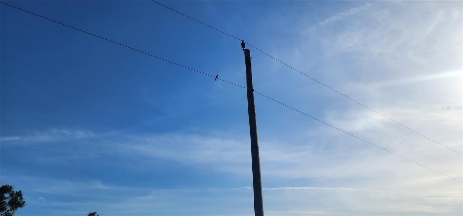 Image 14 of 21 For 12092 Beiman Avenue