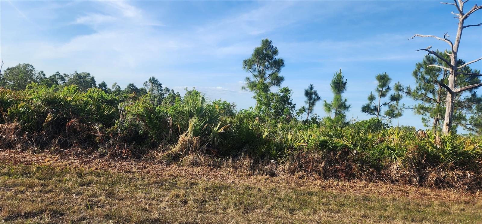 Image 2 of 21 For 12092 Beiman Avenue