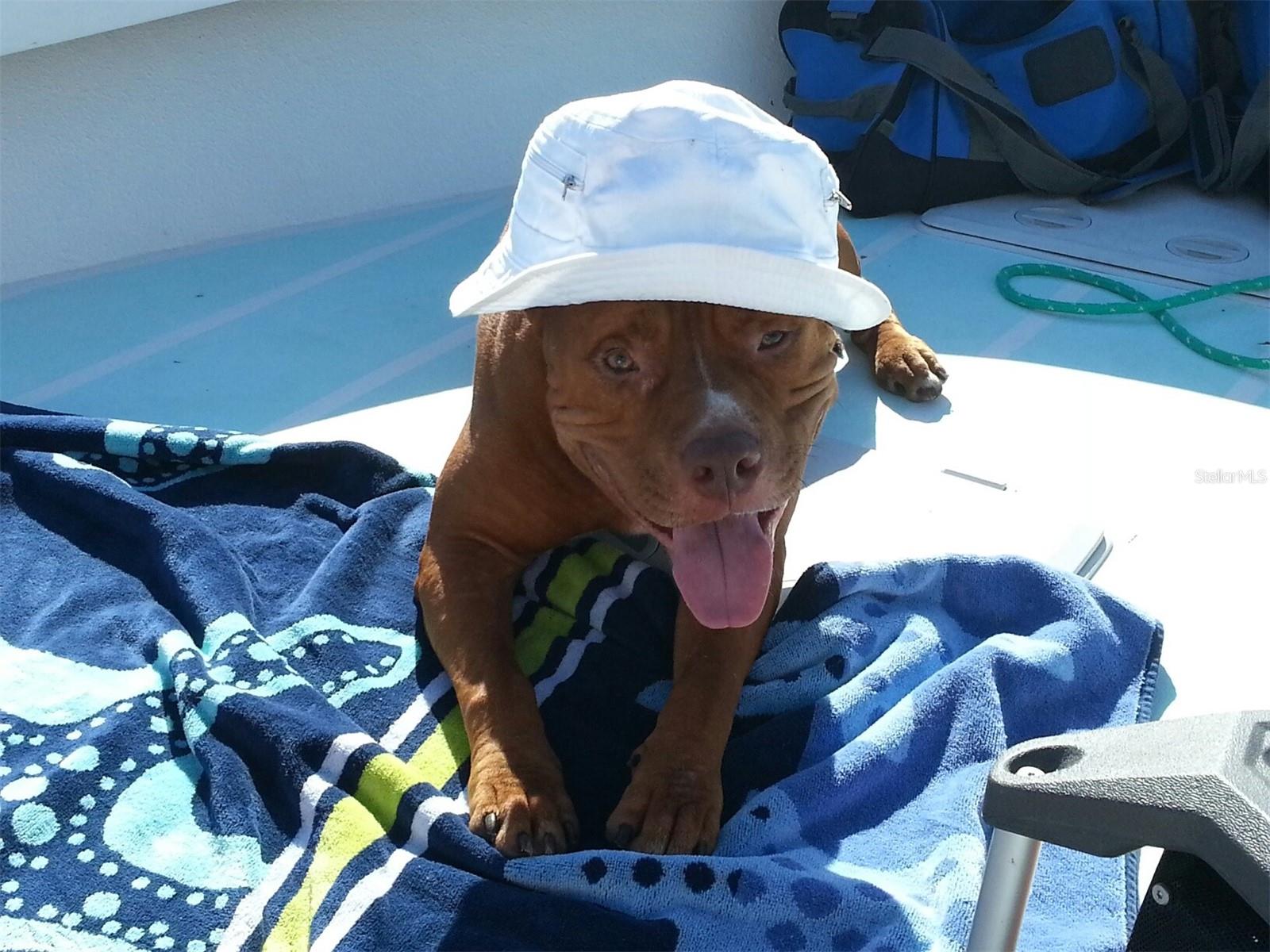 Image 11 of 20 For 6094 Collier Street