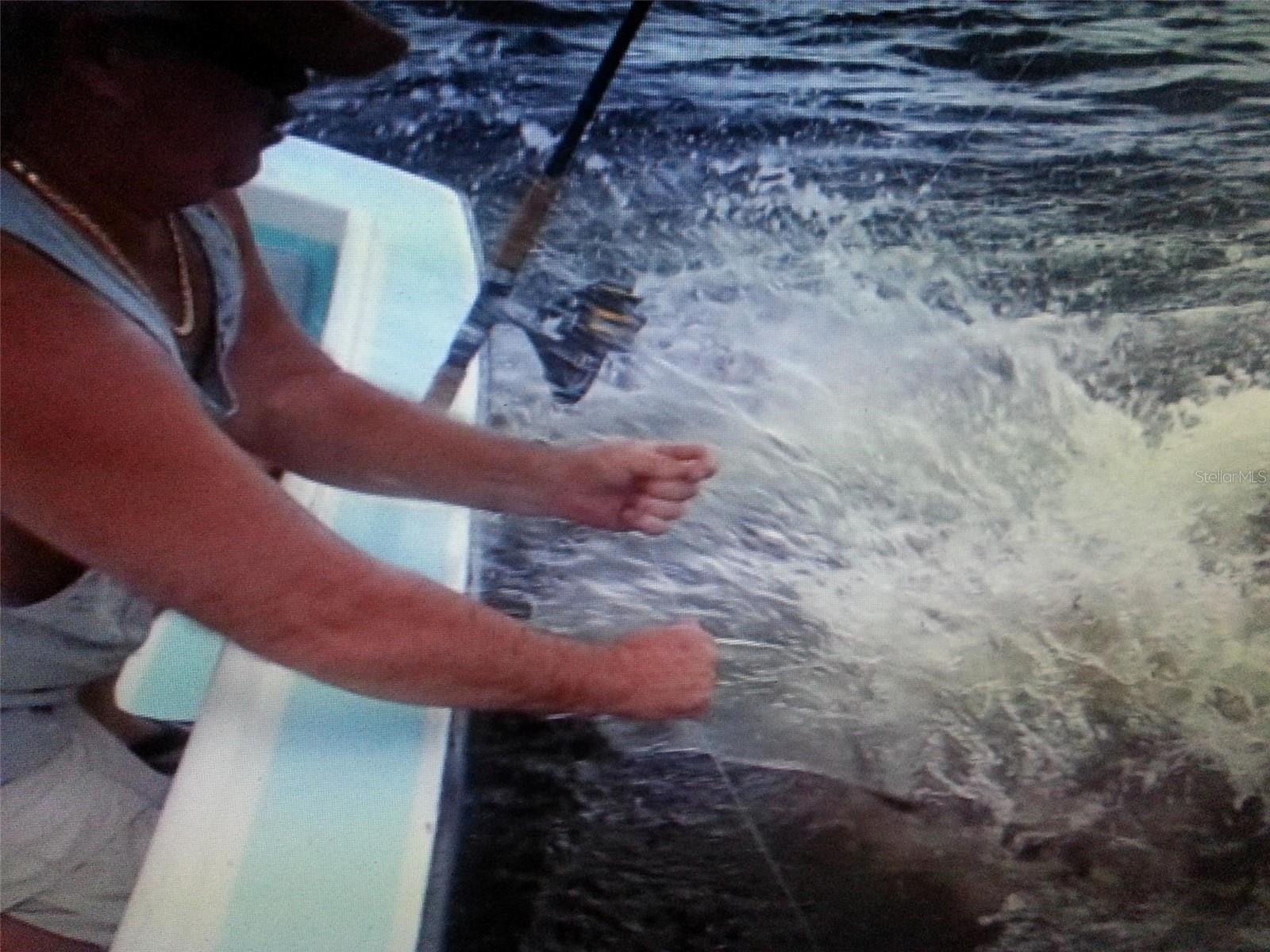 Image 13 of 20 For 6094 Collier Street