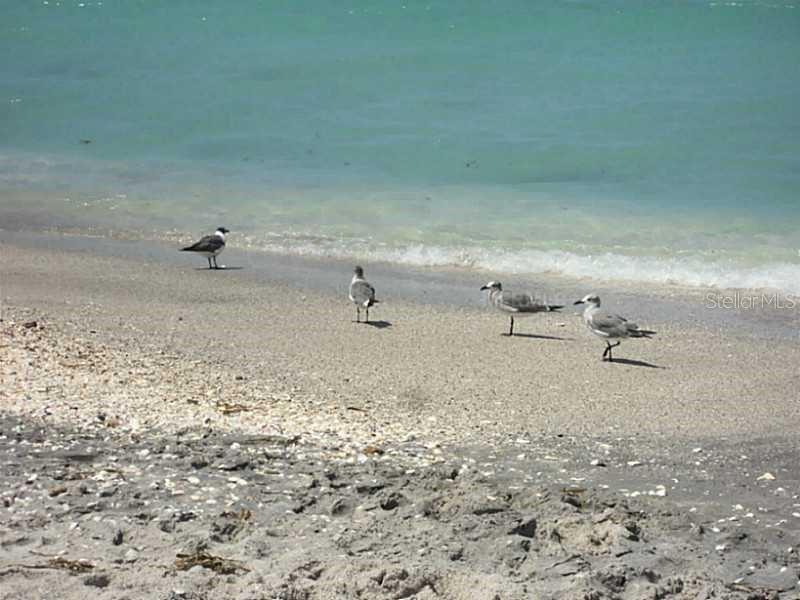 Image 14 of 20 For 6094 Collier Street