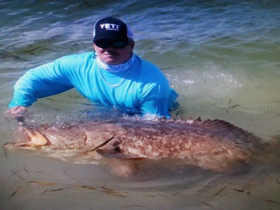 Image 16 of 20 For 6094 Collier Street