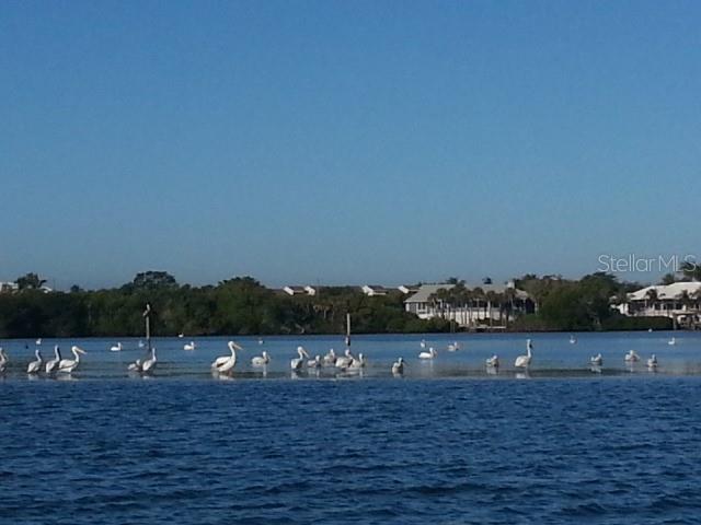 Image 8 of 20 For 6094 Collier Street