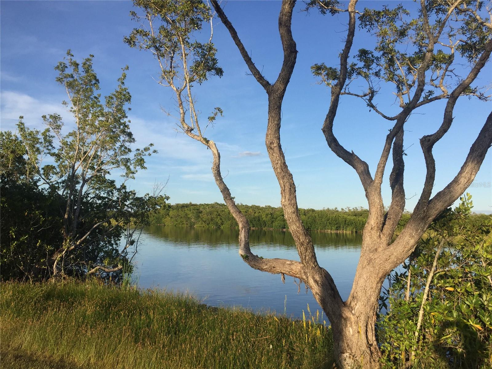 Image 9 of 11 For 13474 Abutilon Lane