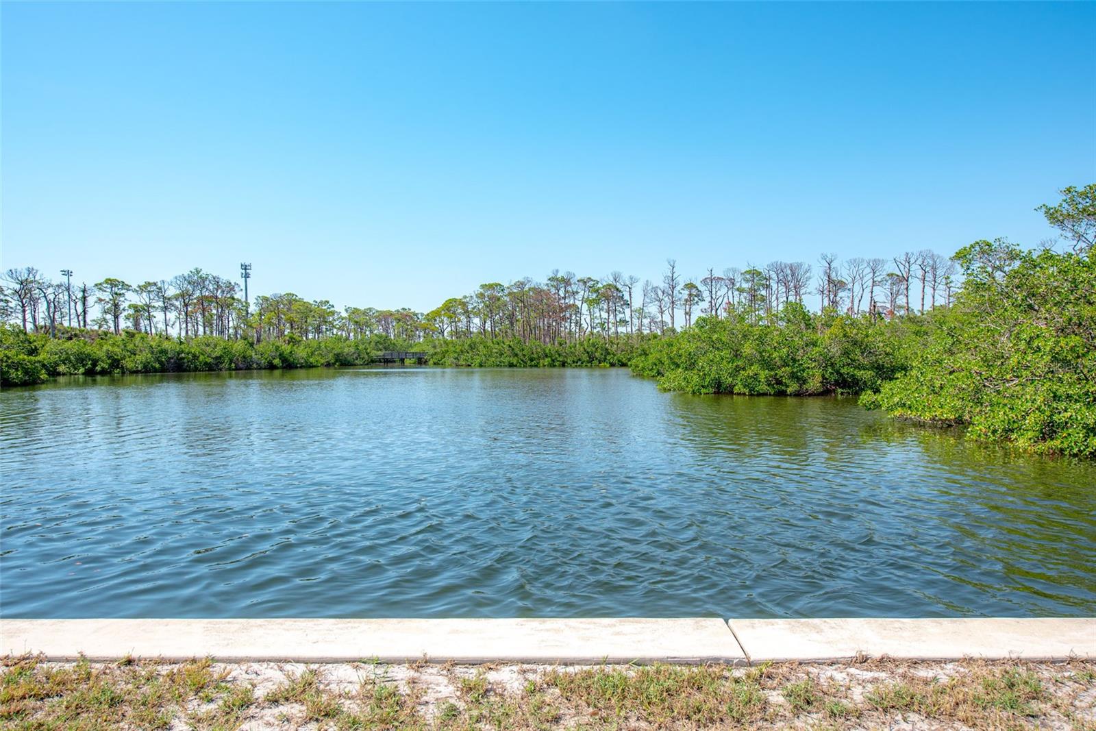 Image 58 of 95 For 2060 Oyster Creek Drive