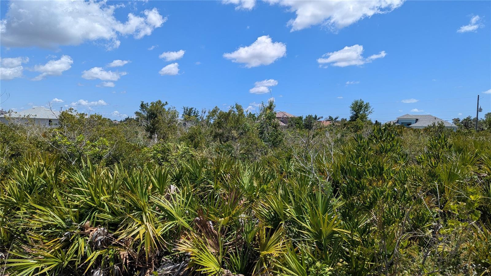 Image 3 of 9 For 13485 Abutilon Lane