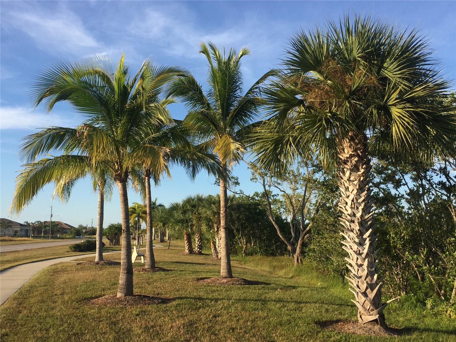 Image 6 of 9 For 13485 Abutilon Lane