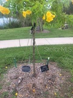 Image 7 of 9 For 13485 Abutilon Lane