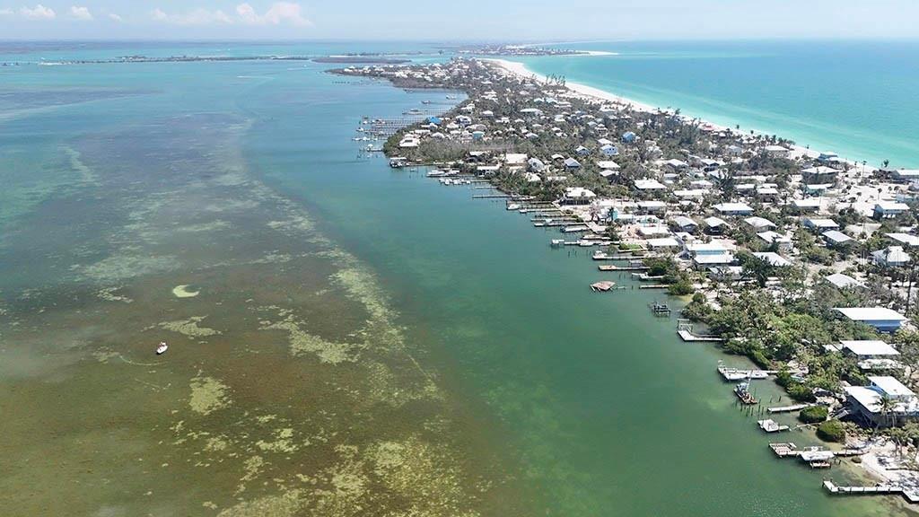 Image 8 of 17 For 8158 Little Gasparilla Island