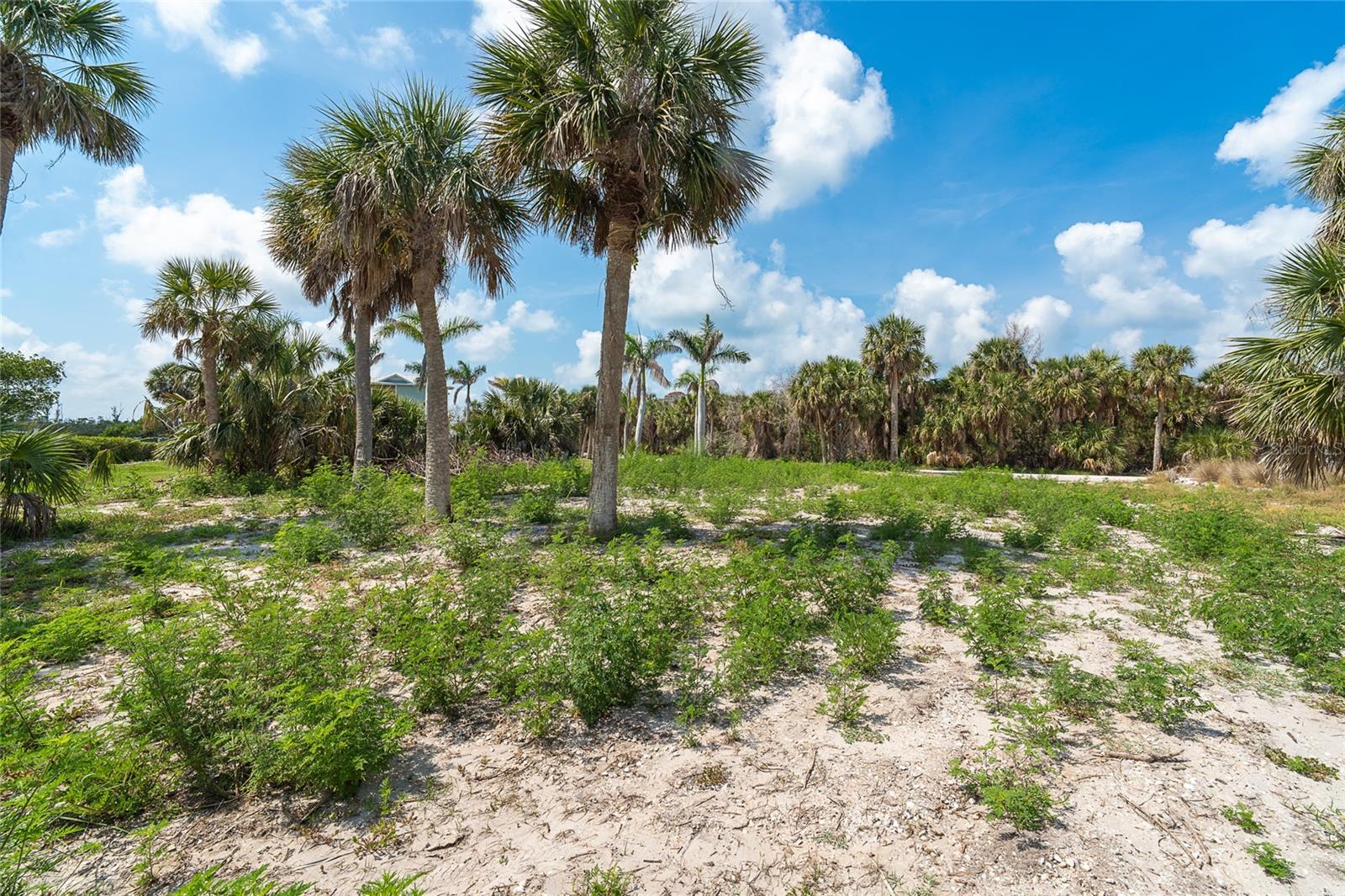 Image 5 of 27 For 66 Tarpon Way