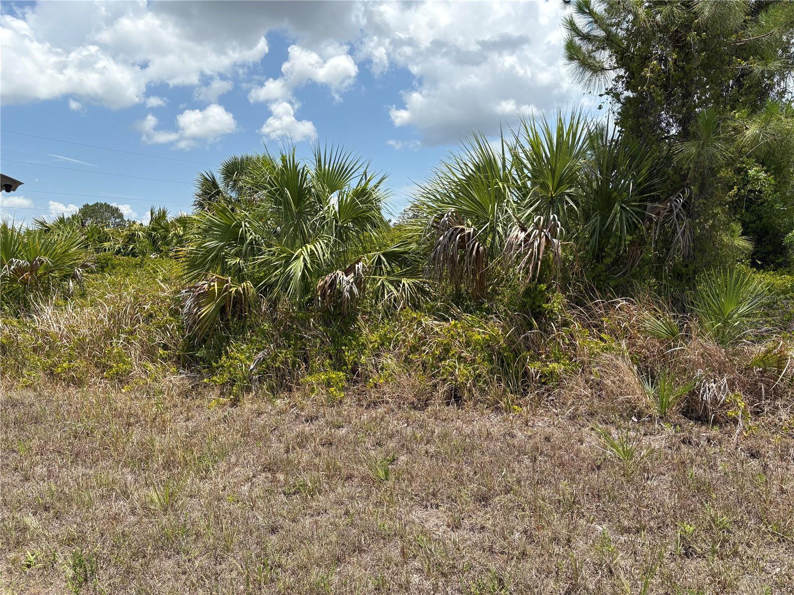 Image 6 of 18 For Lot 1 Penny Circle