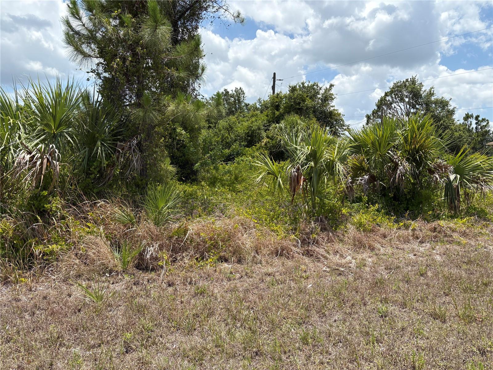 Image 7 of 18 For Lot 1 Penny Circle