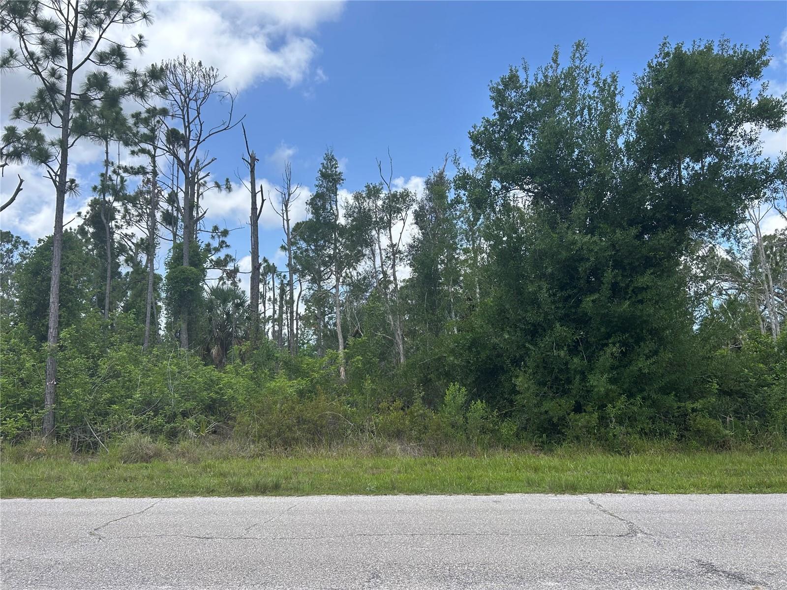 Image 2 of 4 For 14309 Sanilac Avenue