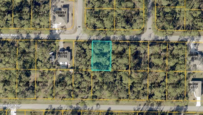 Listing Details for  Neon Avenue , NORTH PORT, FL 34291