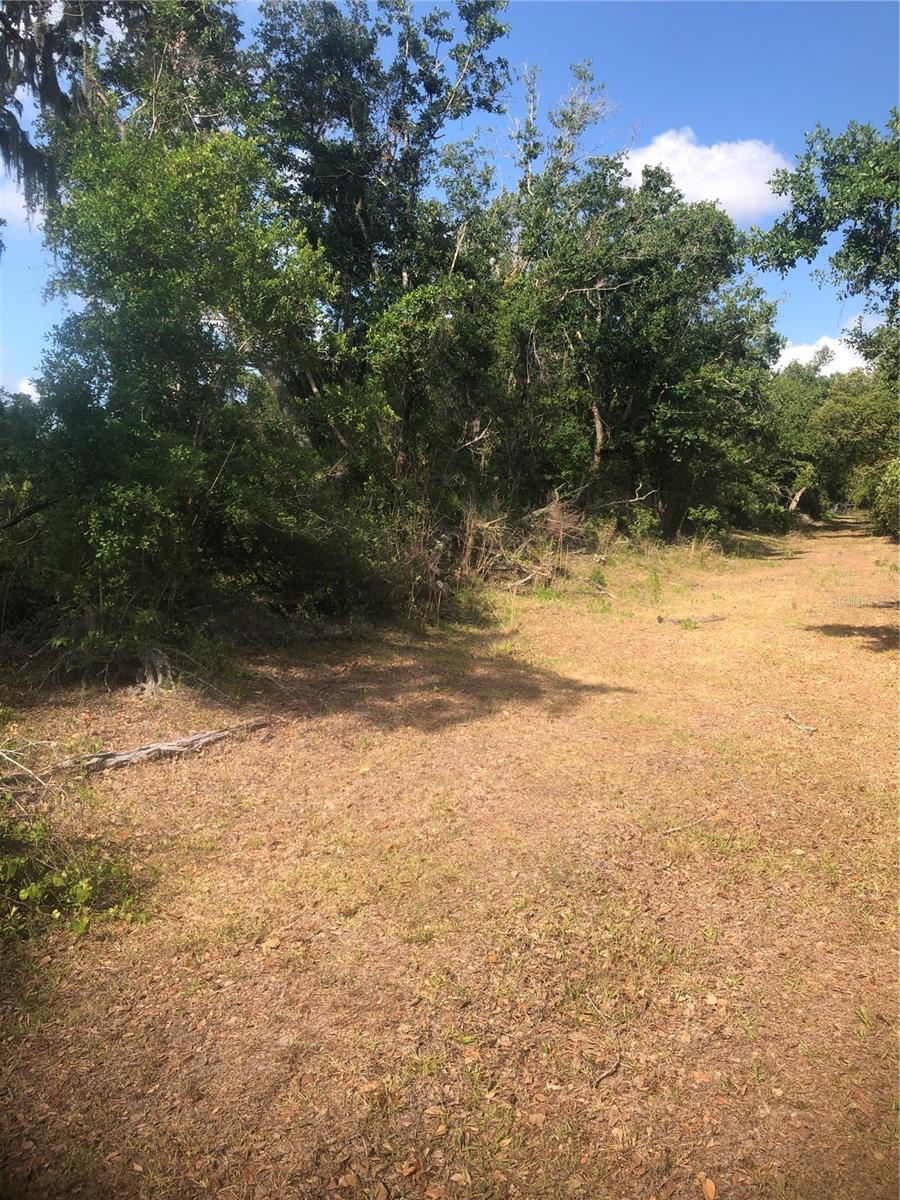 Details for Adventure Way, ARCADIA, FL 34266
