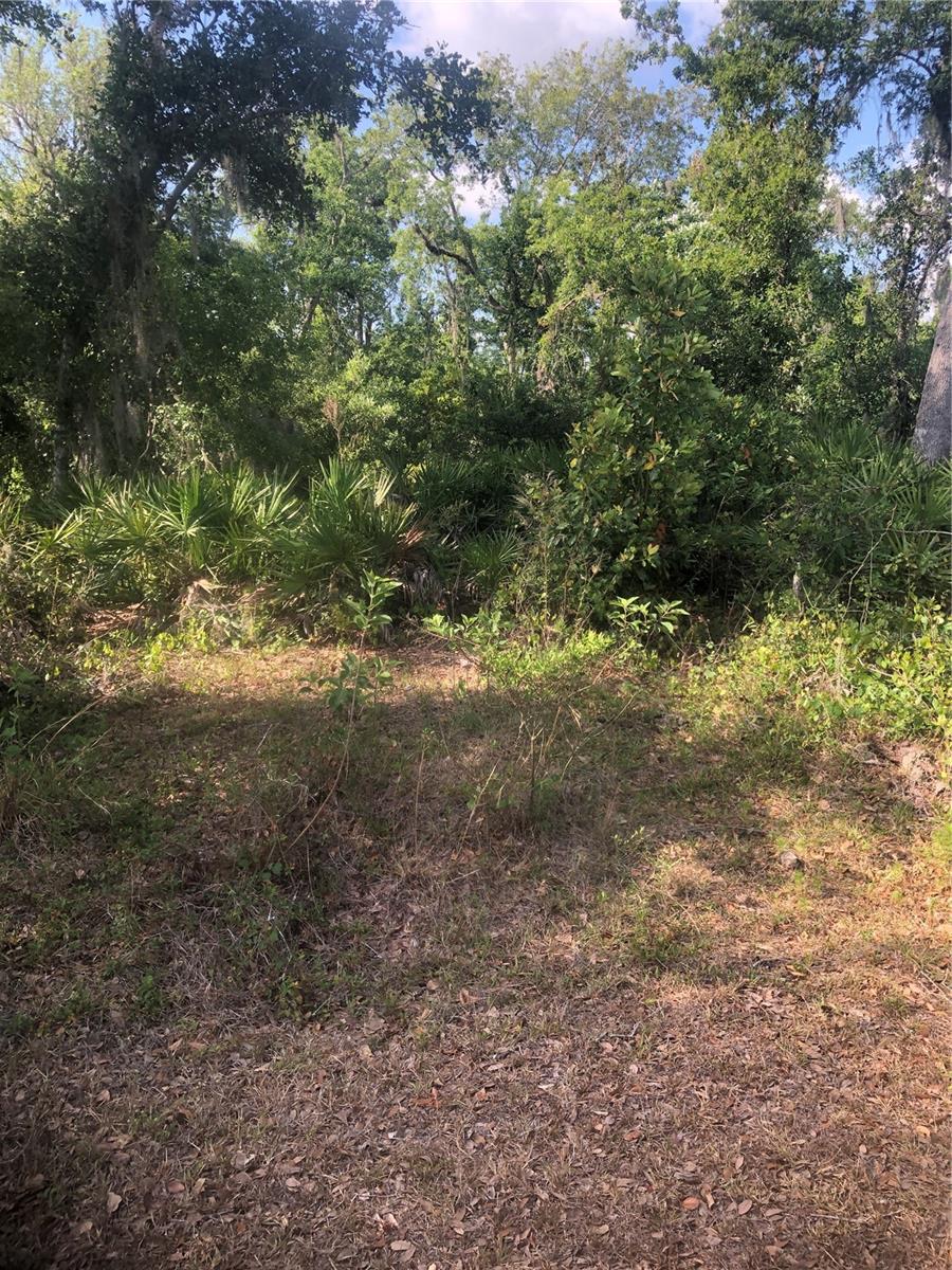 Image 2 of 7 For Adventure Way
