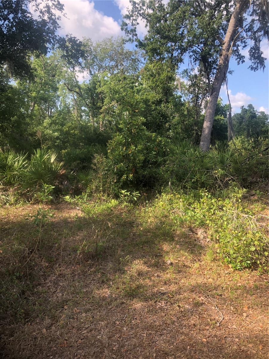 Image 6 of 7 For Adventure Way