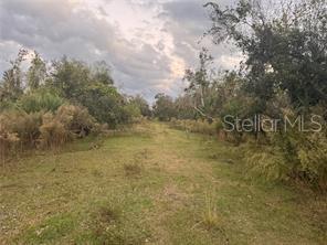 Image 7 of 7 For Adventure Way