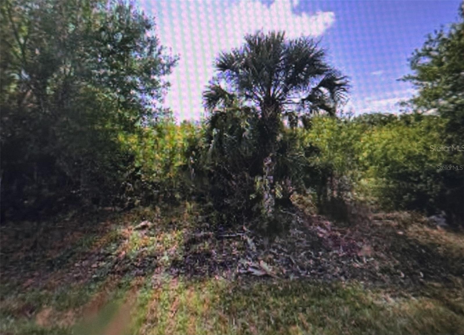 Listing Details for 11443 3rd Avenue, PUNTA GORDA, FL 33955