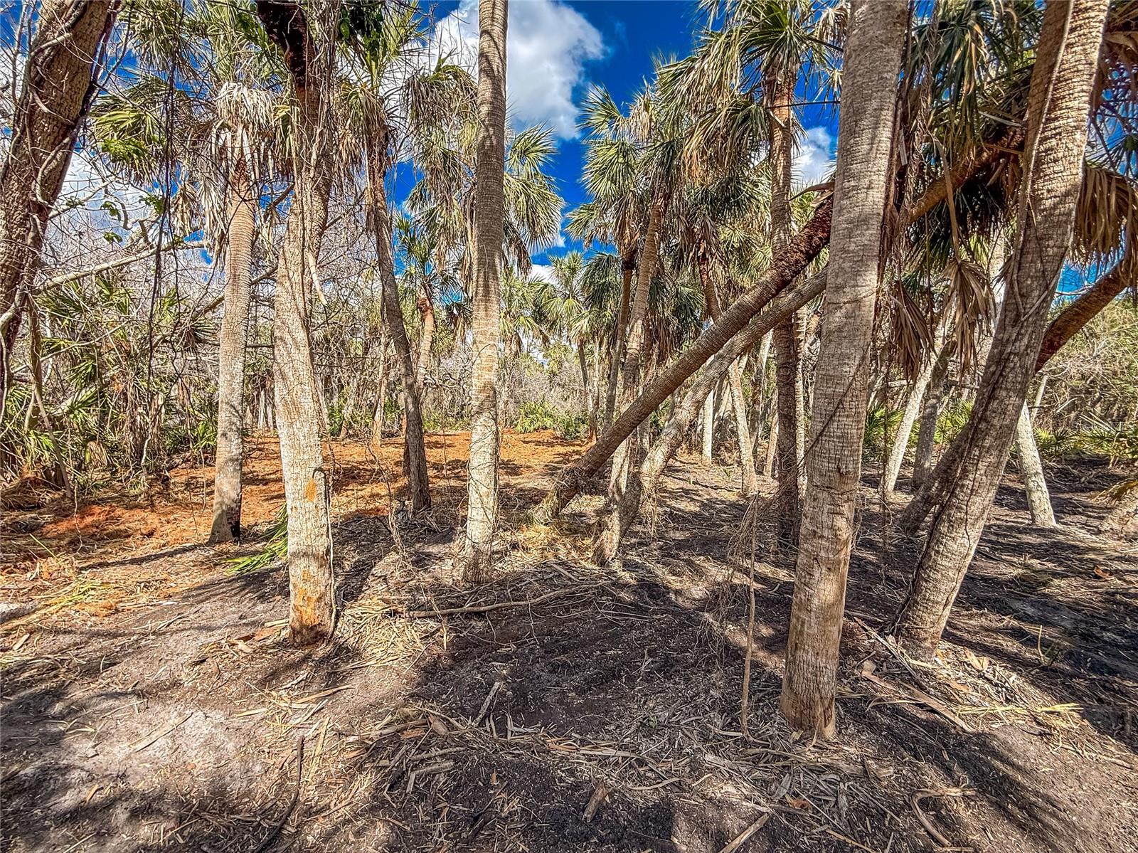Image 4 of 10 For 0 Manasota Key Road Bay Side