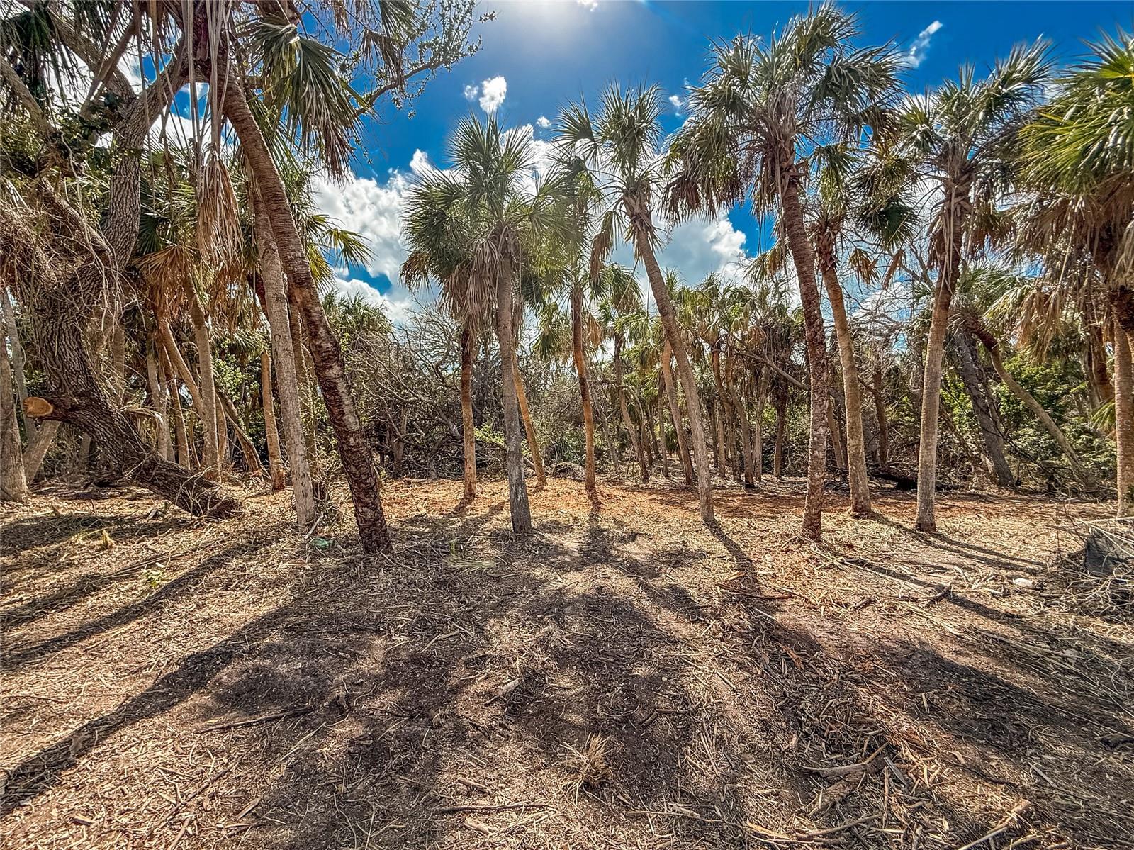 Image 7 of 10 For 0 Manasota Key Road Bay Side