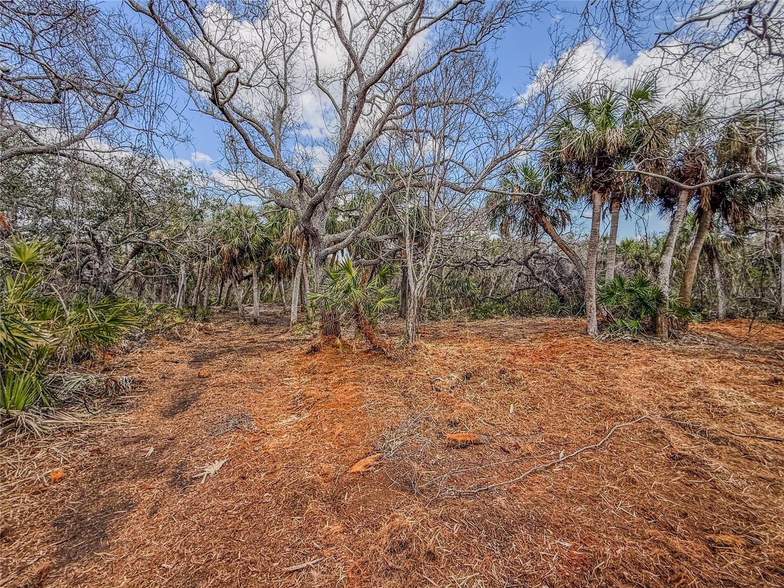 Image 12 of 28 For Manasota Key Road  Gulf Side