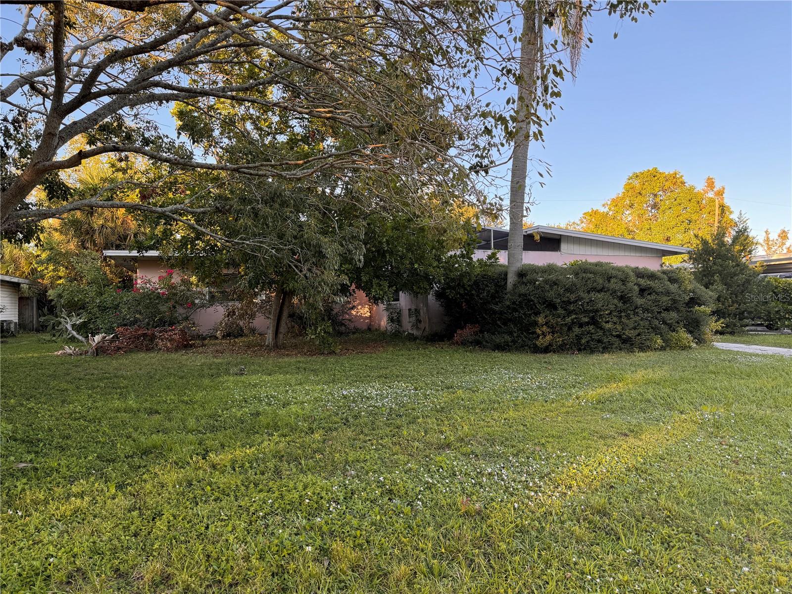Image 5 of 20 For 2911 Novus Street