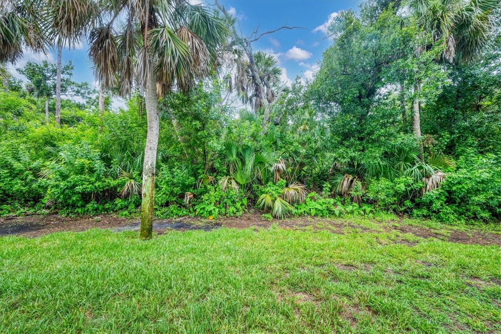Image 42 of 49 For 100 Siesta Road