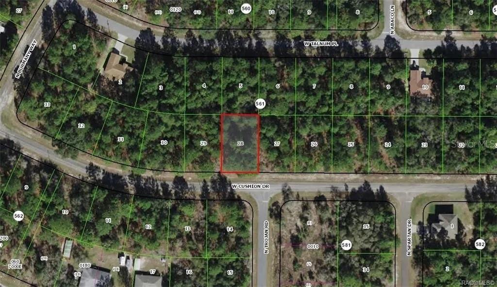 Listing Details for 3357 Cushion Drive, CITRUS SPRINGS, FL 34433