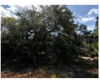 Image 3 of 3 For Lot 3 Morrisette Lane