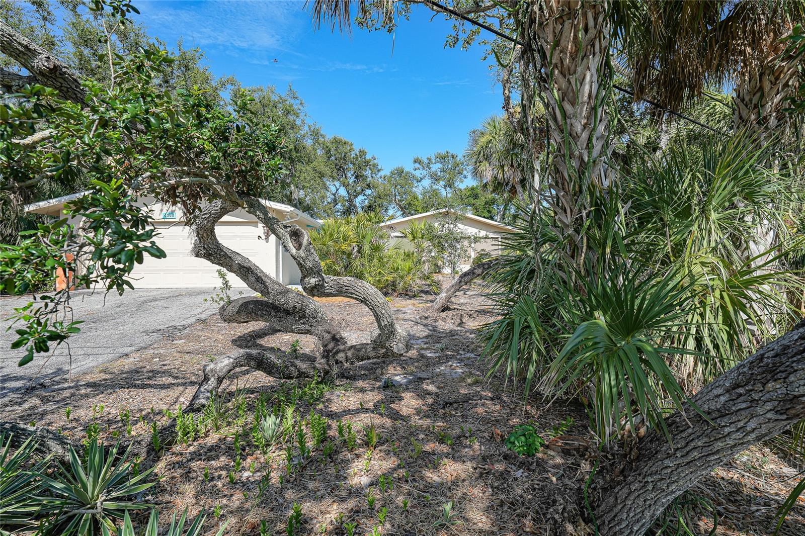 Image 56 of 75 For 4000 Bay Oaks Circle