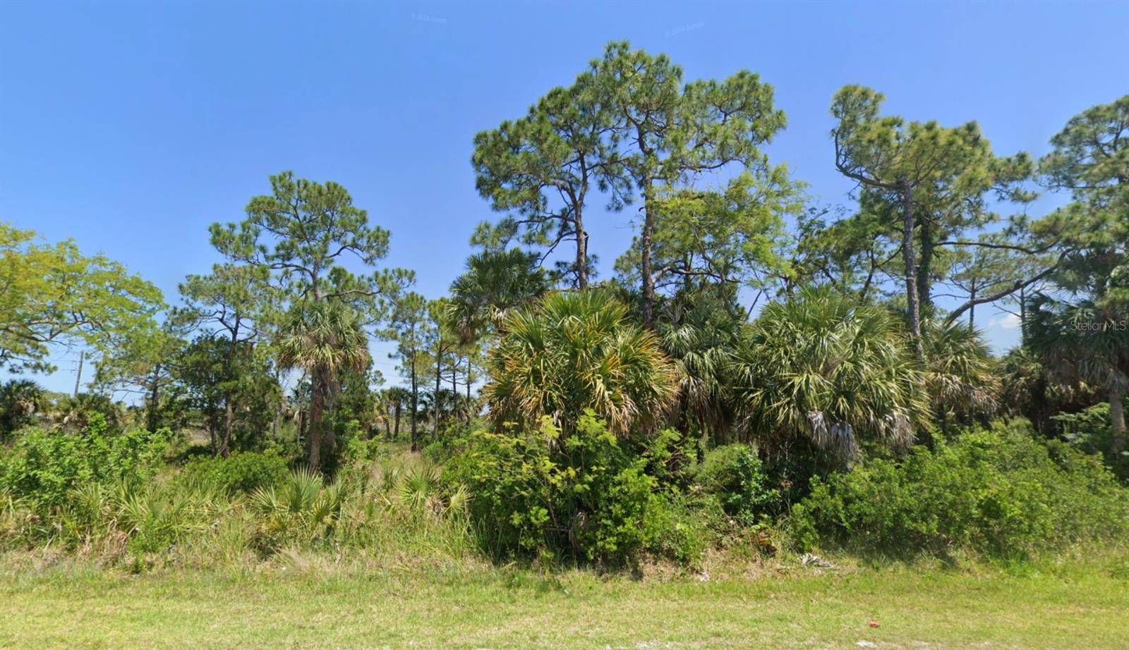 Image 4 of 17 For New York Avenue