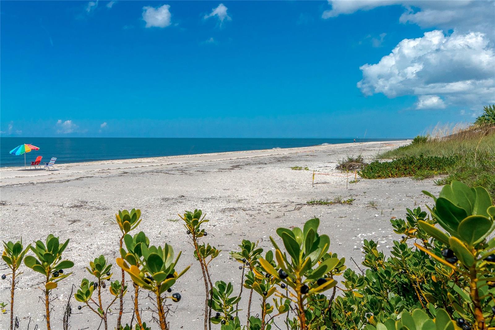 Image 22 of 25 For 1285 Gulf Boulevard 4
