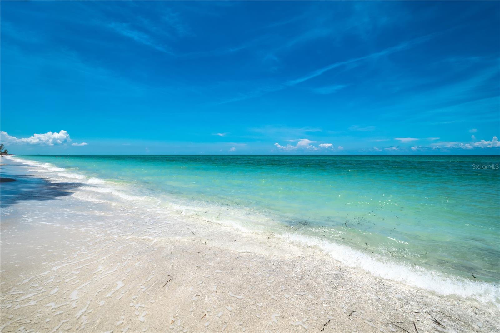 Image 23 of 25 For 1285 Gulf Boulevard 4